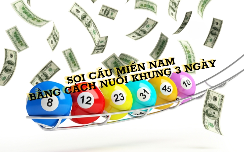 Cách soi cầu xổ số miền Nam hình quả trám